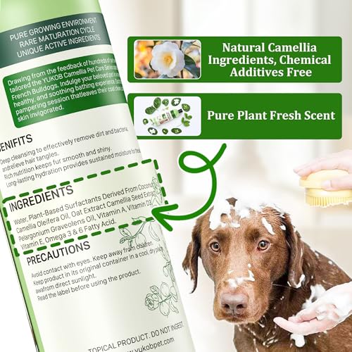 Hundeshampoo gegen Juckreiz und Hautirritationen – Naturales Shampoo für Haustiere mit Camellienöl für empfindliche Haut, Reduzierung der Fellausfälle | 473 ml (Kurzhaarhund)
