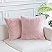 Easy Joy Housse de Coussin Décorative, Couverture de Taie d'oreiller Velours Lot de 2 Pillowcase Rose Super Doux Revêtement Extérieur Durable pour Canapé Fauteuil Meubles Modernes (45x45cm)