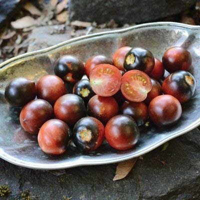 20 sementi biologiche di Indigo Cherry Drops pomodoro biologico