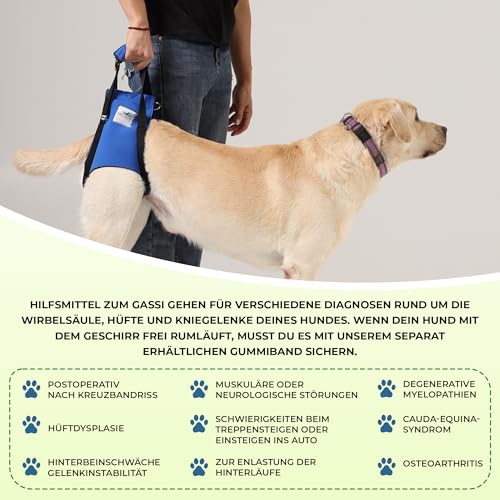 Nature Pet © - Tragehilfe Hund hinten - Verstellbarer Hunde Tragegurt als Treppenhilfe - Ideal für ältere, kranke oder operierte Vierbeiner - Praktische Unterstützung für Mobilität (M, Blau)
