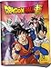 Dragon Ball Super- Dran Ball Super album (Panini 2603-009) , color/modelo surtido