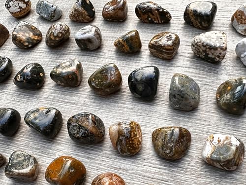 Image of GAF TREASURES 1 /2 LB Ocean Jasper Tumbled Stones, Polished Natural Sea Jasper Gemstone, Ocean Jasper Healing Crystals (Ocean Jasper)