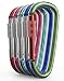 Aluminum Carabiner D Shape Buckle Pack, Keychain Clip, Spring Snap Key Chain Clip Hook Screw Lock Buckle -Pack of Assorted Color Carabiners