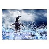 Emballage sécurisé: vos posters et toiles sont soigneusement emballés afin de garantir qu'ils vous parviennent sans dommage et sans frustration. Nous envoyons les petits formats dans une enveloppe, les posters roulés et les toiles bien protégées.