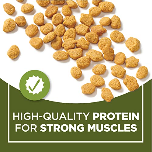Purina Cat Chow Hairball, Healthy Weight, Indoor, Natural Dry Cat Food, Naturals Indoor - 13 lb. Bag - Image 2