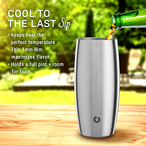 Snowfox Elegance Collection Insulated Stainless Steel Beer Glass, 18-Ounce Set Of 2, Black/Gold #TOP2