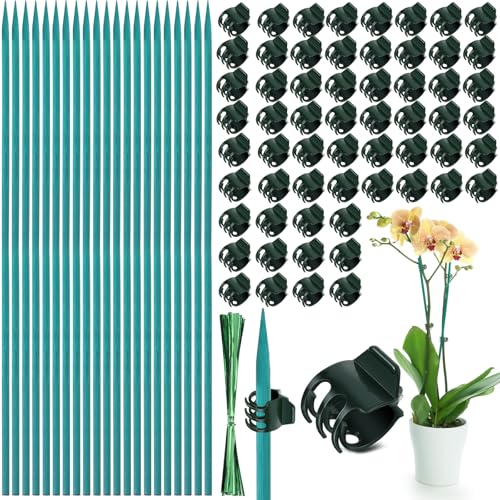 30 Pcs Plant Support Stakes Kit 15 Inch Bamboo Plant