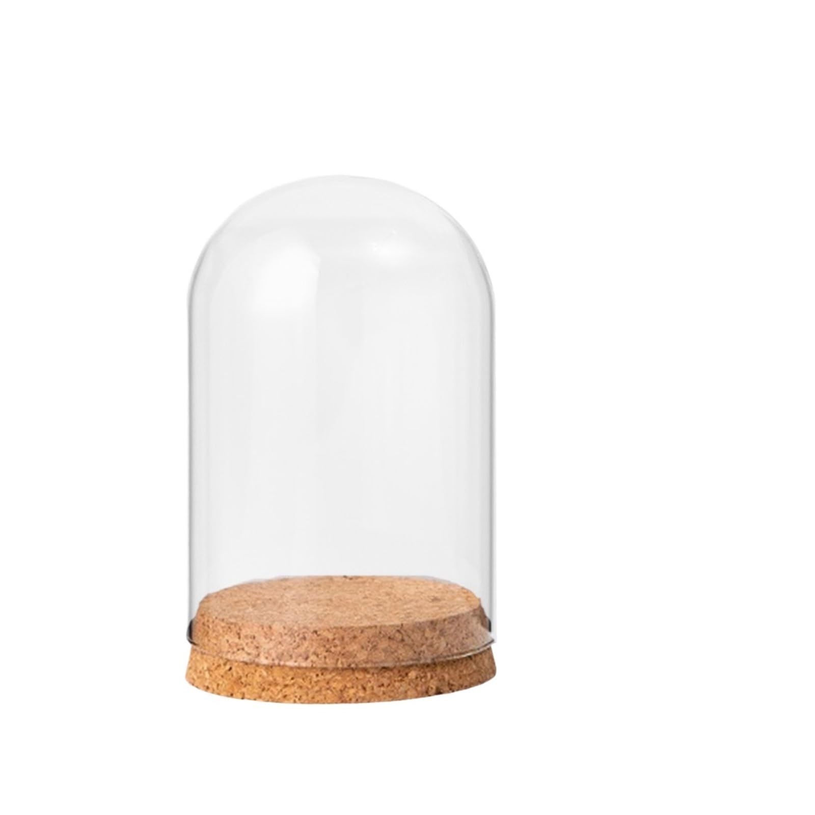 WYQXTY Clear Glass Cloche Display Glass Cloche Dome Clear Glass Display Bell Jar Multiple Sizes(8cmx10cm)