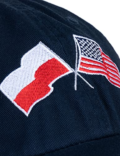 Image of Ann Arbor T-shirt Co. American Friendship Nations Flag Baseball Low Profile Dad Hat for Men Women