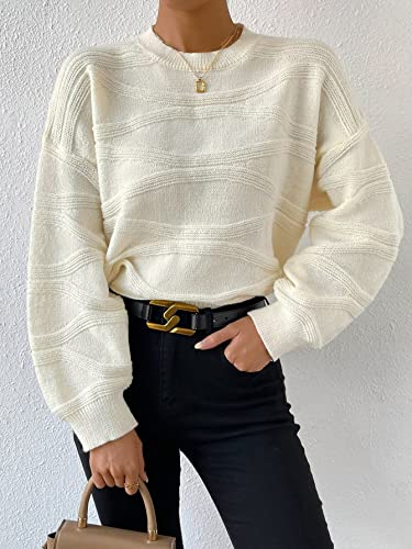 Verdusa Women's Textured Knit Pullover Sweaters Crew Neck Long Sleeve Fall Clothes4
