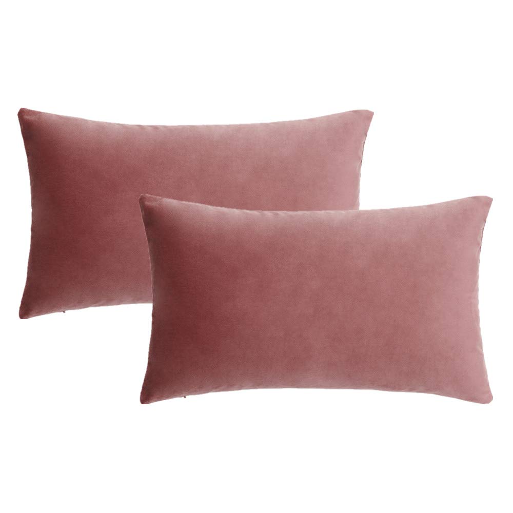 Jam Lumbar Velvet Soft Solid Throw Pillow Cases Decorative Rectangle Cozy Cushion Covers Home Decor for Living Room Couch Sofa Car 12"x20" Set of 2