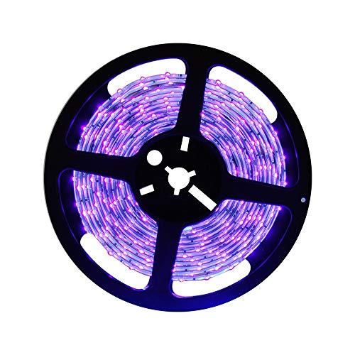 KKmoon Fita de luz ultravioleta Luzes de tira LED à prova d'água 16.4 pés 300 LEDs Luzes de corda L
