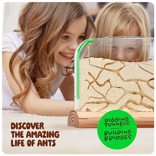 Ant Farm Kit for Kids - Farms Colony - Includes Ants Voucher - Sand Habitat Kits - Bug Terrarium House - Educational Science Gifts for Kid - Nature Learning Toys for Boys, Girls & Adults - Image 4
