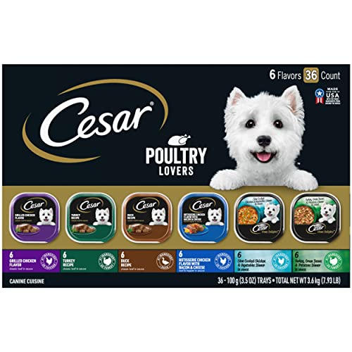 Unleash the Best of Cesar Dog Food for Your Furry Best Friend Top 10 Picks and Buying Guide for