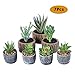 Produktbild SPDYCESS 7 Stück Künstliche Sukkulenten Pflanzen mit Töpfen - Klein Mini Kunstpflanze mit Topf Künstliche Blumen Bonsai für Hausgarten,Tische, Balkon, Büro Deko
