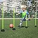 LZQ Sprungstangen-Set Agility Hürdenset Trainingsstangen für Sprungkraft, Dribbling und Beweglichkeit Ideal für den Vereins- oder Schulsport, Grün