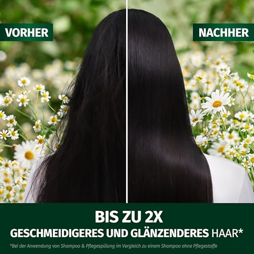 Herbal Essences Geschmeidig & Glänzend Shampoo mit Kamille 350ml. Von Stumpfem Haar zu Glänzendem Haar, Mit Kamillenextrakt, Vegan, Silikonfrei