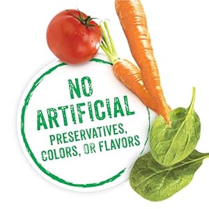   Purina-Beneful-Small-Breed-Wet-Dog-Food-IncrediBites-Pate-with-Real-Salmon-Recipe-Pack-of-12-3-oz-Cans