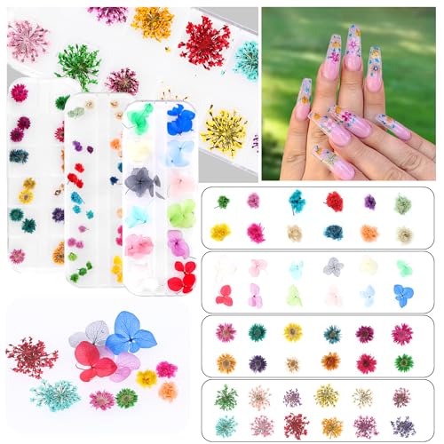 Flores secas para arte de uñas, set de 4 cajas miniatura 2
