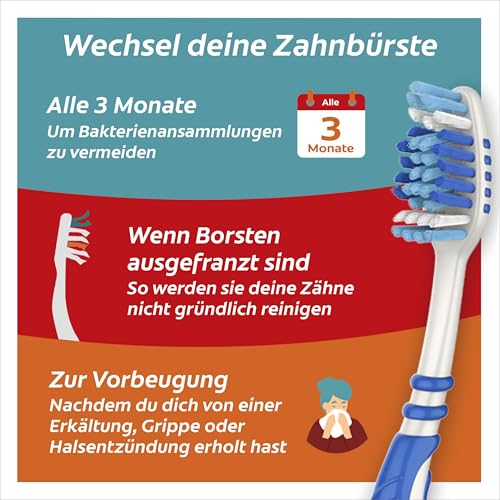 Colgate Zahnbürste für Unterwegs, weich, 4 Stück, faltbar - Reisezahnbürste in kompakter Größe ideal für Koffer und Taschen