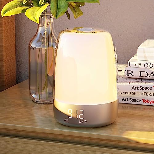 15 Best Sun Wake Up Alarm (July2023)