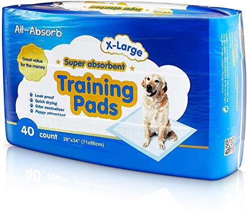 All-Absorb Extra Large Training Pads 28-inch by 34-inch