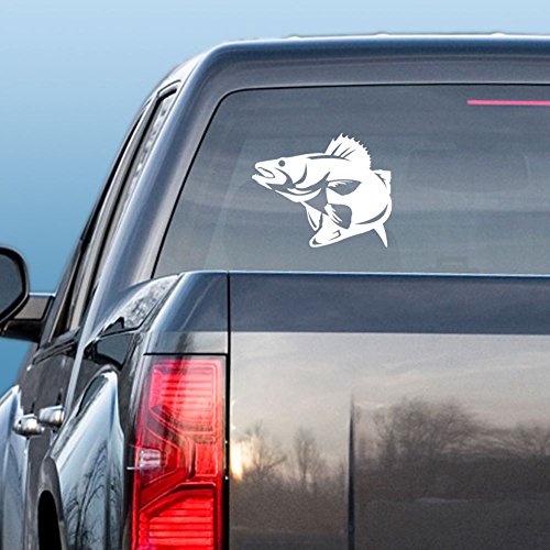 Express Yourself Products Walleye (White - Image Facing as Shown - Small) Decal Sticker - Freshwater Fish Collection
