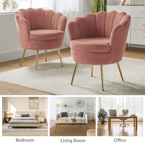 Image of HULALA HOME Modern Velvet Accent Chair with Shell Shaped Back, Cute Living Room Bedroom Armchair Sofa Chair with Gold Legs, Comfy Upholstered Vanity Chair for Makeup Room, Pink