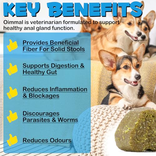 Anal Gland Support Soft Chews for Dog, 150PCs Dog Anal Gland Treats w/Pumpkin, Digestive Enzyme & Probiotics Support Healthy Bowel Function - Dog Health Supplies Fibre Supplements Chews - Beef Flavor