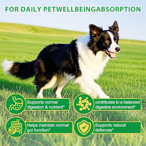 Probiotika für Hunde 120 Kautabletten – Verdauungsenzyme & Präbiotika, tägliche Unterstützung der Verdauung & des Wohlbefindens, ballaststoffreiche Weichkautabletten für alle Rassen und Altersgruppen