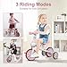 XIAPIA 3 in 1 Toddler Bike for 2-4 Year Old Girl, Kids Tricycle with Adjustable Seat, Detachable Pedal and Training Wheels, Baby Balance Bike Trikes Riding Toys, Kids Chirstmas Birthday Gifts Pink
