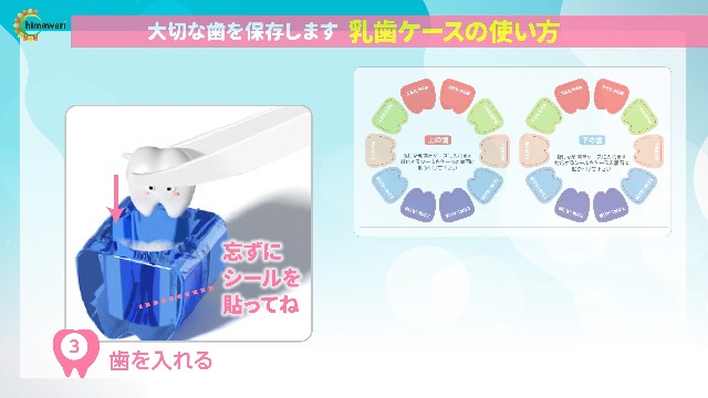 Amazon.co.jp: 【保育士×歯科医共同開発】 C_himawari 乳歯ケース