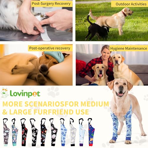 Image of LovinPet Dog Elbow Protector Anti-Licking Elbow Sleeve, Adjustable, Comfortable & Durable Front Leg Guard for Medium to Large Dogs, Prevents Licking and Chewing,Dog Sleeve,Dog Leg Sleeve,Blue