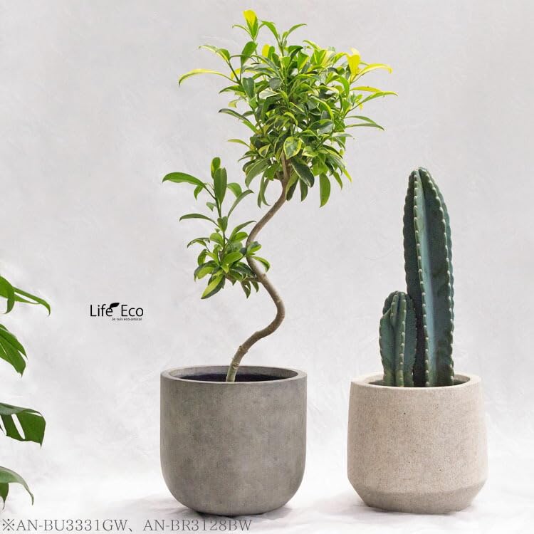 Amazon | 植木鉢 大型 ファイバーセメント製 ベルベット