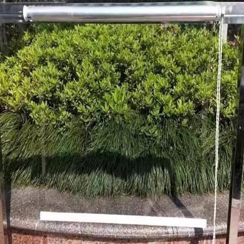 Estores Enrollables de PVC Transparente,Persiana Enrollable Resistente Aceite para Cocina Oficina,Cortina Enrollable para Exteriores para Polvo,Lluvia y Nieve,Fácil de Montar (W50xH60cm/W20 xH24)