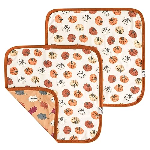 Image of Copper Pearl Baby Security Blanket Set of 2 - Portable Size for Self-Soothing On-The-Go, Ideal Baby Blankets for Boys and Girls, Ultra-Soft, and Gift-Ready Loveys - Karver