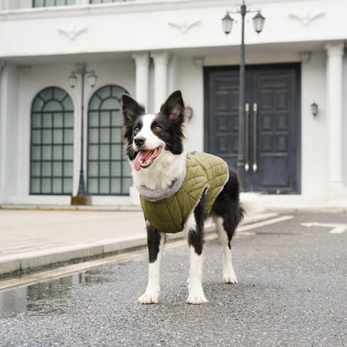 JoyDaog Warmer Fleece-Hundemantel mit strapazierfähigem Geschirr mit D-Ring, wasserdichte Welpenjacke für kleine Hunde, Hundeweste für den kalten Winter, Grün, Größe S