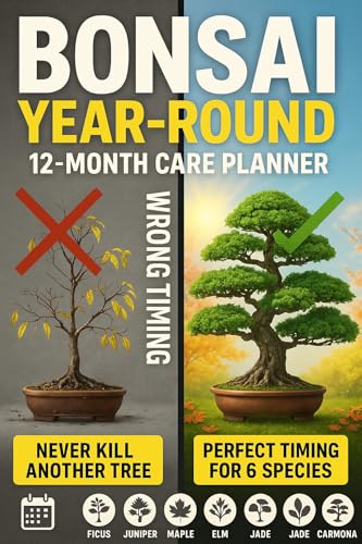 BONSAI YEAR-ROUND: A 12-MONTH CARE PLANNER BY SPECIES: Water, Prune, Wire, Repot, and Style Your...