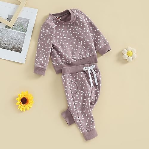 Newborn Baby Girl Clothes Daisy Outfit Long Sleeve Sweashirt Tees Tops Pants Infant Toddler Girl Fall Winter Clothes2