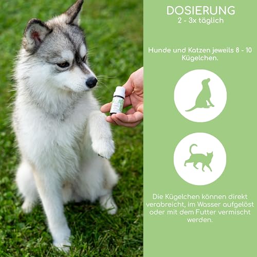 Sorgenfrei Bachblüten für Hunde & Katzen - 1.200 Globuli bei Einsamkeit und Unruhe - 100% natürliche Beruhigungstabletten für Hunde - Anti-Trauer Blütenmischung nach Dr. Bach