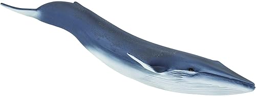 Safari Ltd. Figura de ballena azul, figura detallada de plástico de 11 pulgadas, divertido juguete educativo para niños, niñas y niños a partir de 3