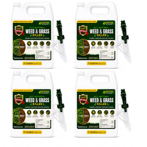 Natural Armor Weed and Grass Killer Concentrate