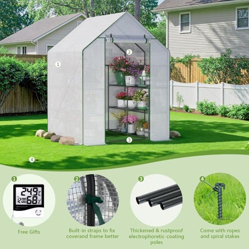 Image of Walk in Greenhouses, 57 x 57 x 76 inch Green House, Greenhouse for Outdoors with Durable PE Cover, Portable Greenhouse with Shelves Stands,Green