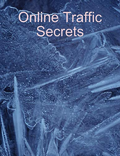 Online Traffic Secrets view 2