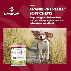NaturVet – Cranberry Relief Plus Echinacea – Helps Support a Healthy Urinary Tract & Immune System – 120 Soft Chews