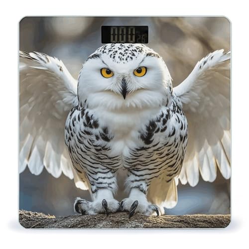 Báscula digital para baño Snow Owl con pantalla LCD