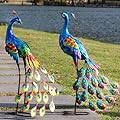 Kircust Peacock Garden Statue and Sculpture, Metal Peacocks Yard Art Lawn Decor, Large Birds Garden Sculptures & Statues for Patio Backyard Pond Home Decoration