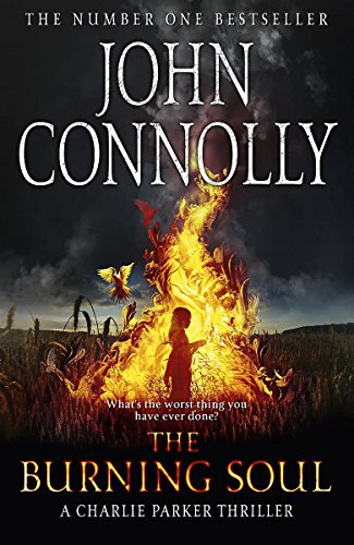 The Burning Soul: A Thriller 0340993537 Book Cover