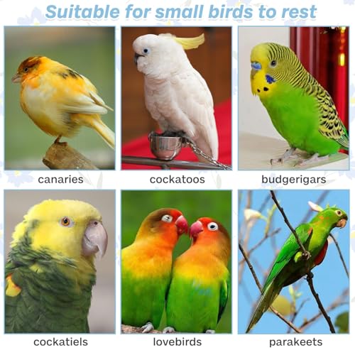 Image of PIVBY Bird Perches for Cage Colorful Parrot Stand Toy Platform Paw Grinding Stick for Small Medium-Sized Bird Parakeet Cockatiel Conure Budgies Lovebird Canary Colors Vary Pack of 3