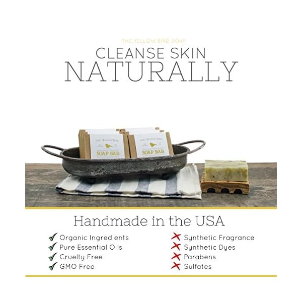 Activated-Charcoal-Soap-Bar-Natural-Face-Soap-Body-Soap-for-Acne-Blackheads-Eczema-Psoriasis-Sensitive-Skin-Black-Soap-Facial-Cleanser-for-Oily-Skin-Vegan-Non-GMO-Organic-Ingredients The Yellow Bird Natural Charcoal Soap Bar for Face, Body, Acne, and Sensitive Skin